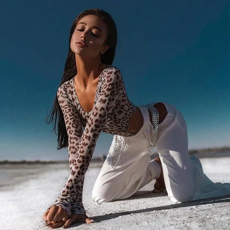 Leopard Print Sheer Mesh Long Sleeve